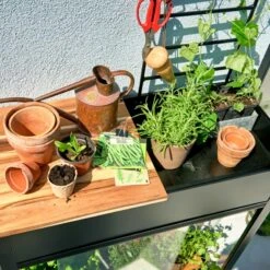 Serre Urbaine Vertical En Verre Trempé Avec Roulettes – Juliana -Jardin Serre Boutique serre urbaine en verre trempe avec roulettes vertical greenhouse juliana 3