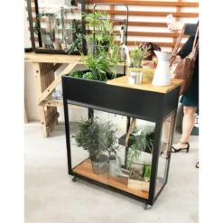 Serre Urbaine Vertical En Verre Trempé Avec Roulettes – Juliana -Jardin Serre Boutique serre urbaine en verre trempe avec roulettes vertical greenhouse juliana 5