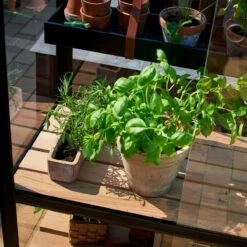 Serre Urbaine En Verre Trempé Avec Roulettes City - Juliana 35 Serre Urbaine En Verre Trempé Avec Roulettes City - Juliana -Jardin Serre Boutique serre veranda aluminium anthracite et verre trempe 44m juliana 13