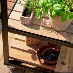 Serre Urbaine En Verre Trempé Avec Roulettes City - Juliana 36 Serre Urbaine En Verre Trempé Avec Roulettes City - Juliana -Jardin Serre Boutique serre veranda aluminium anthracite et verre trempe 44m juliana 14