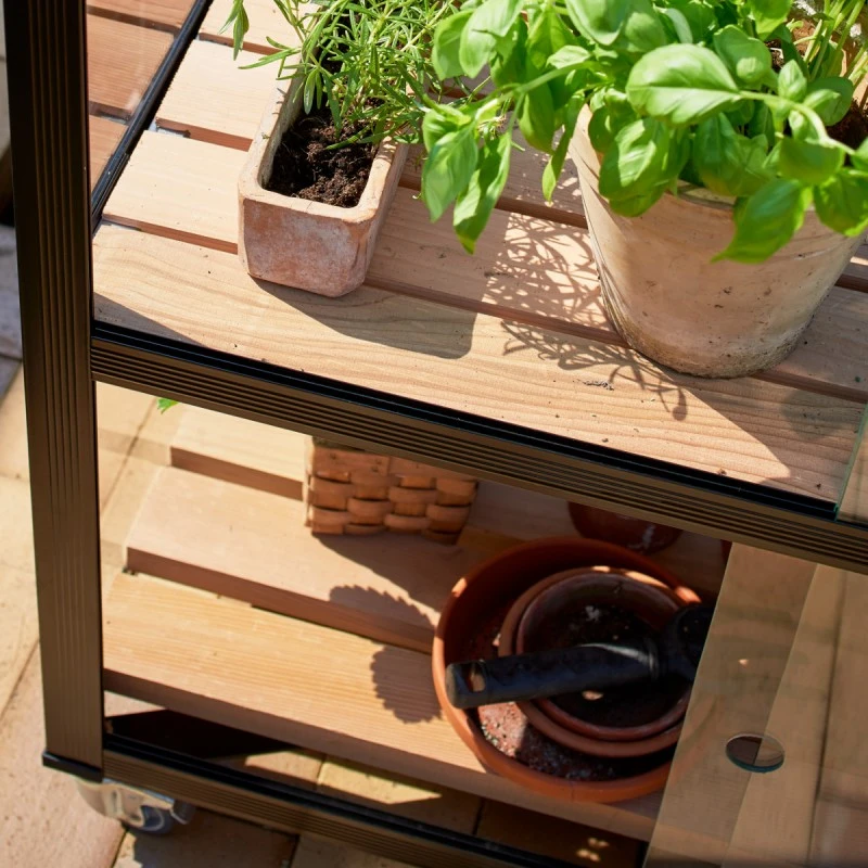 Serre Urbaine En Verre Trempé Avec Roulettes City - Juliana 17 Serre Urbaine En Verre Trempé Avec Roulettes City - Juliana – Image 15