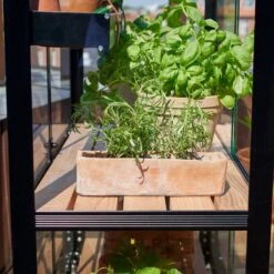 Serre Urbaine En Verre Trempé Avec Roulettes City - Juliana 37 Serre Urbaine En Verre Trempé Avec Roulettes City - Juliana -Jardin Serre Boutique serre veranda aluminium anthracite et verre trempe 44m juliana 15