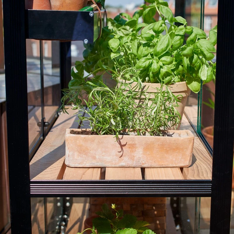 Serre Urbaine En Verre Trempé Avec Roulettes City - Juliana 18 Serre Urbaine En Verre Trempé Avec Roulettes City - Juliana – Image 16