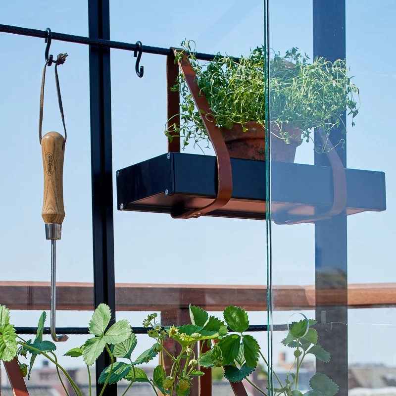 Serre Urbaine En Verre Trempé Avec Roulettes City - Juliana 21 Serre Urbaine En Verre Trempé Avec Roulettes City - Juliana – Image 19