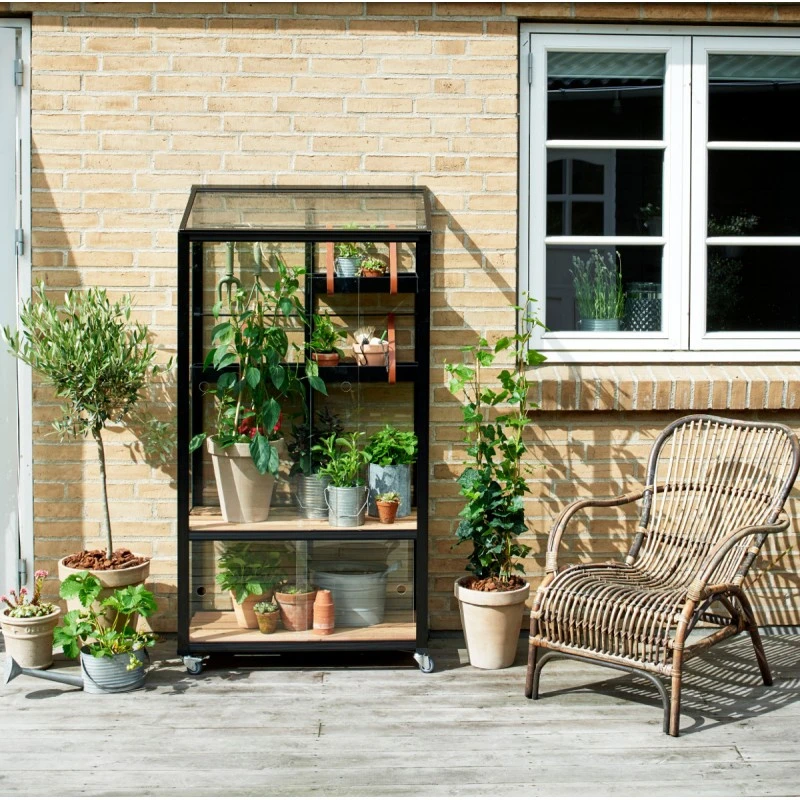 Serre Urbaine En Verre Trempé Avec Roulettes City - Juliana 22 Serre Urbaine En Verre Trempé Avec Roulettes City - Juliana – Image 20