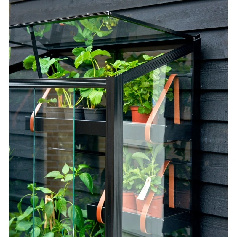 Serre Urbaine En Verre Trempé Avec Roulettes City - Juliana 5 Serre Urbaine En Verre Trempé Avec Roulettes City - Juliana – Image 3