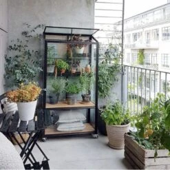 Serre Urbaine En Verre Trempé Avec Roulettes City - Juliana