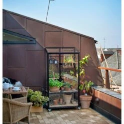 Serre Urbaine En Verre Trempé Avec Roulettes City - Juliana 25 Serre Urbaine En Verre Trempé Avec Roulettes City - Juliana -Jardin Serre Boutique serre veranda aluminium anthracite et verre trempe 44m juliana 3