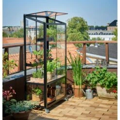 Serre Urbaine En Verre Trempé Avec Roulettes City - Juliana 27 Serre Urbaine En Verre Trempé Avec Roulettes City - Juliana -Jardin Serre Boutique serre veranda aluminium anthracite et verre trempe 44m juliana 5